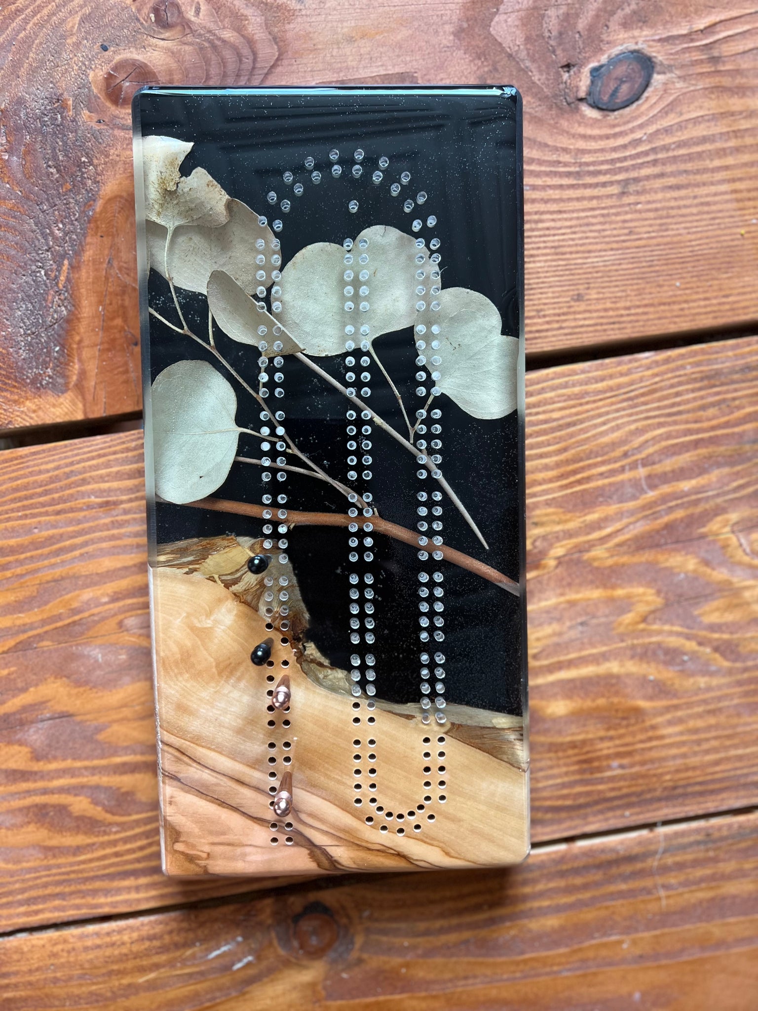 Eucalyptus Cribbage Board